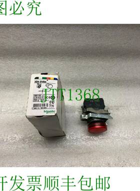 原装供应SE XB4 BVB4 红色金属飞行员灯 089193
