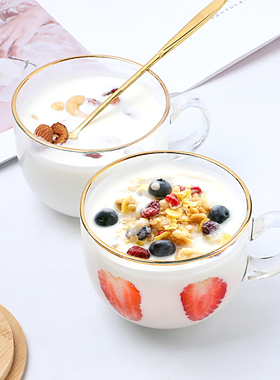 早餐杯大容量燕麦玻璃杯通用水杯带盖带勺牛奶杯子金边带把咖啡杯