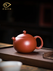 苗联天香宜兴纯手工原创矿物紫砂壶准尼西施壶家用高端茶具单壶