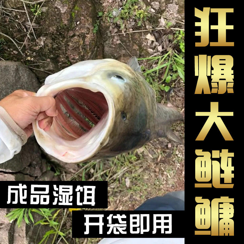 浮钓鲢鳙饵料湿饵酸臭大头胖鱼手竿专用新型花篮海杆远投花白鲢