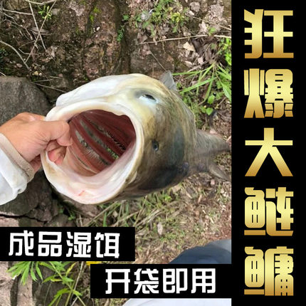 浮钓鲢鳙饵料湿饵酸臭大头胖鱼手竿专用新型花篮海杆远投花白鲢