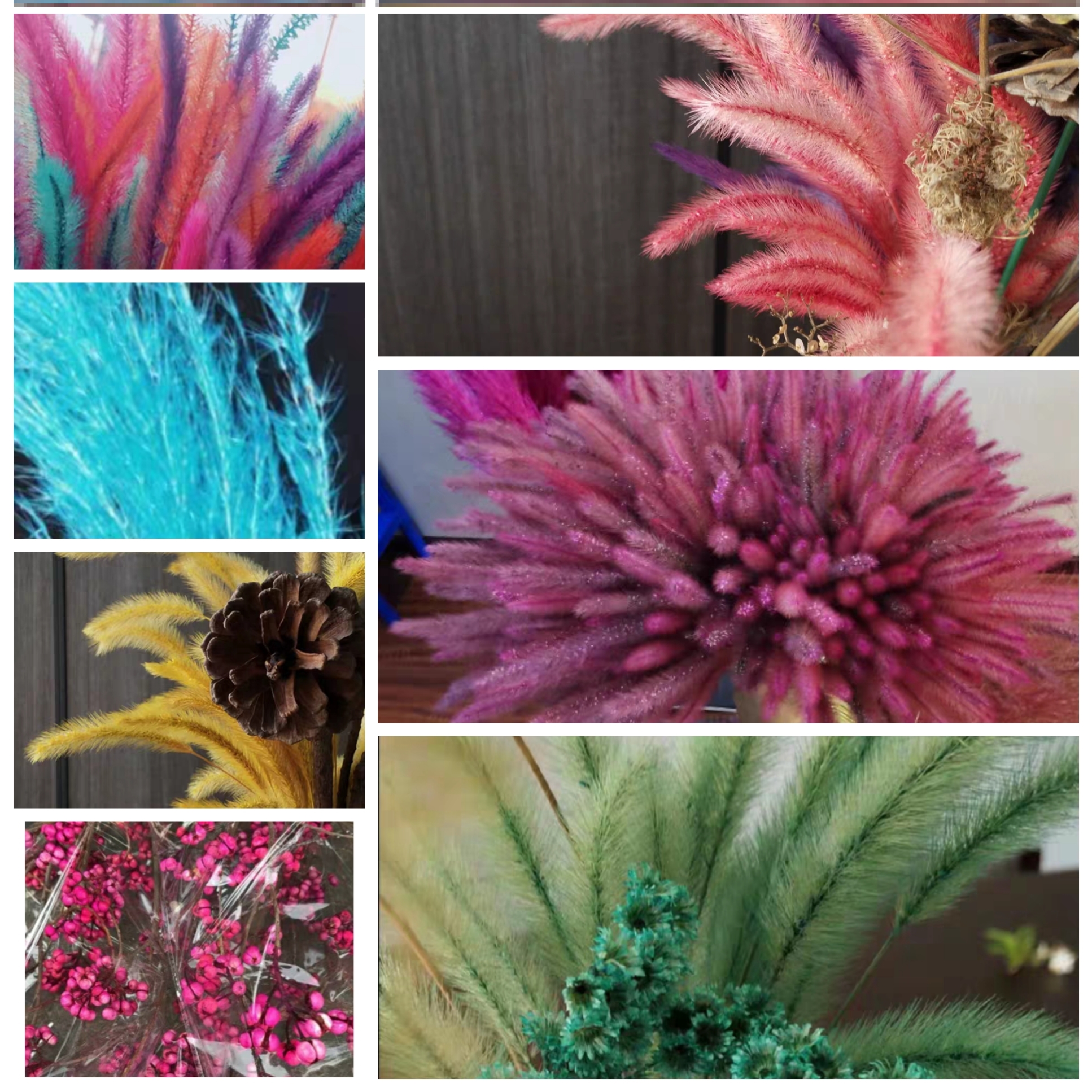 干花染料 Ganhuaranliao 淘宝 天猫精选商品 Cbc商城 干花染料 Ganhuaranliao 淘宝 天猫精选商品 Cbc商城