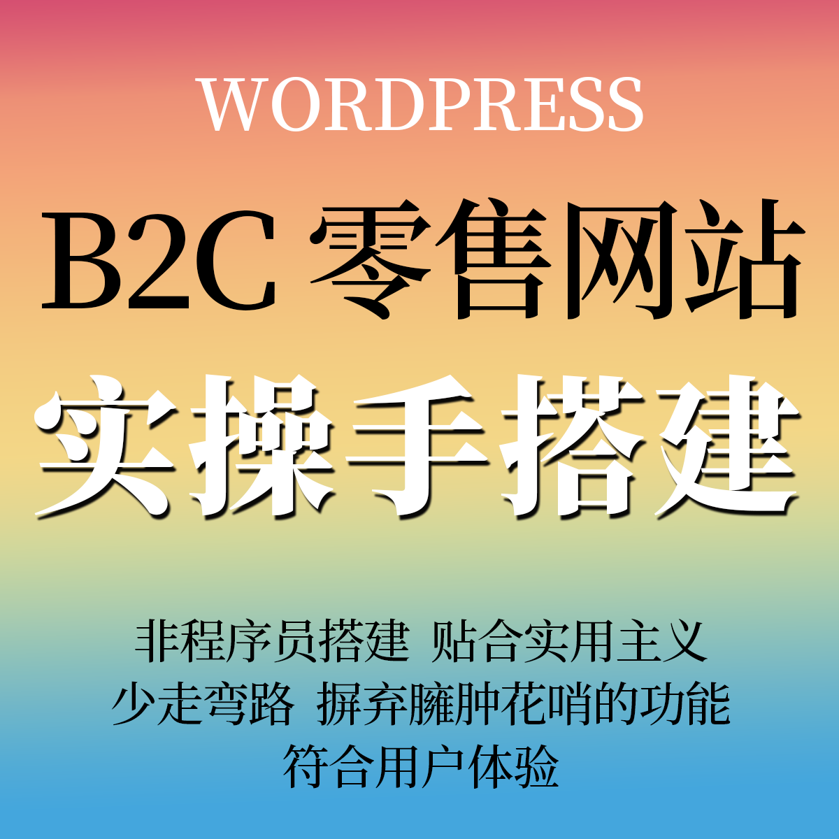 B2C零售 wordpress外贸建站独立站代设计 wordpress独立站代搭建