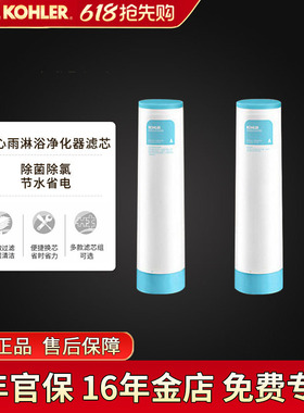科勒可芙厨房净饮机过滤滤芯家用搭配直饮机K-5339净水龙头滤芯组