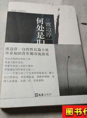 何处是归程 [日]渡边淳一 著；沈玲 译