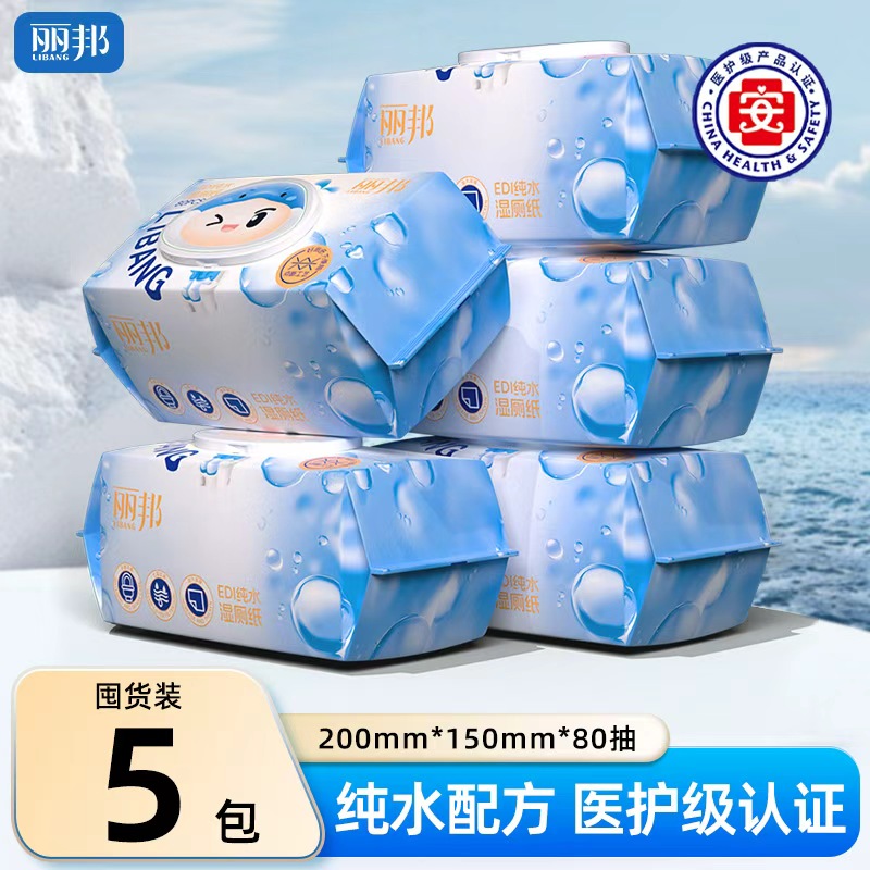 丽邦大尺寸湿厕纸80抽/包