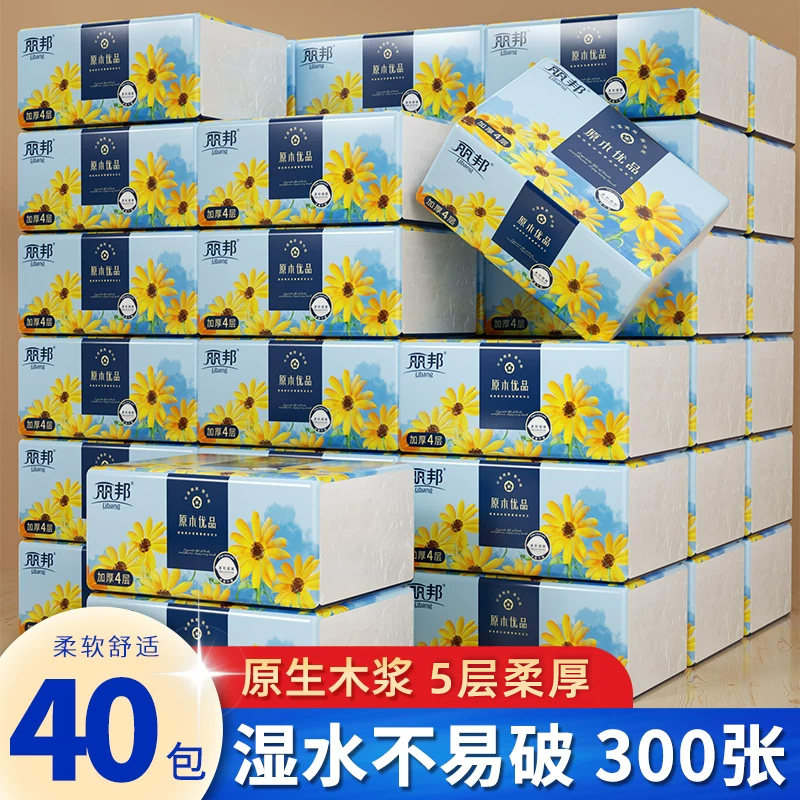 丽邦抽纸300张10包/30包/40包小包便携式家用经济实惠装卫生纸抽