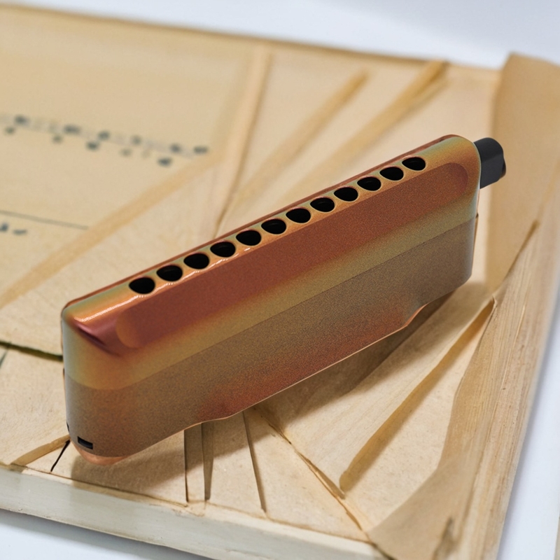 德国和莱12孔半音阶口琴初学者