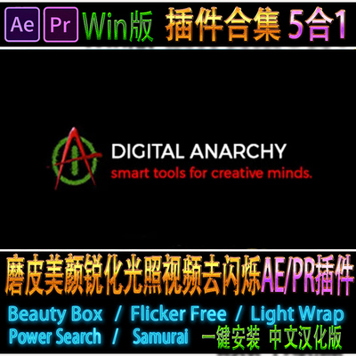 Digital Anarchy bundle 视频磨皮美颜锐化光照 去闪烁 AE/PR插件
