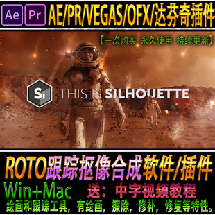 修补涂抹擦除克隆跟踪绘画软件达芬奇AE/PR插件 Silhouette Paint