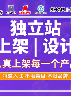 主图设计美工跨境电商详情页设计wordpress建站shopify独立站设计
