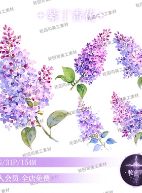 原创可商紫色花卉紫丁香花朵PNG免扣图装饰元素水印美工设计素材
