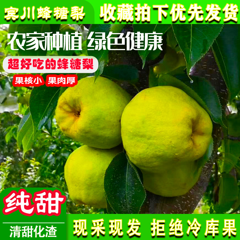 云南大理宾川特产正宗高山蜂糖梨丑梨古树梨新鲜现摘孕妇青梨水果