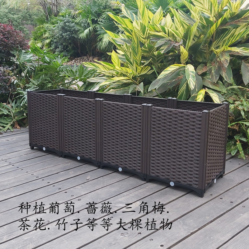 三角梅52cm养龟宠物小果树种植箱