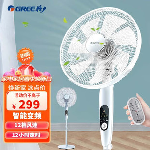 格力电风扇落地扇家用直流变频省立式 40X65Bg7 智能遥控FDZ