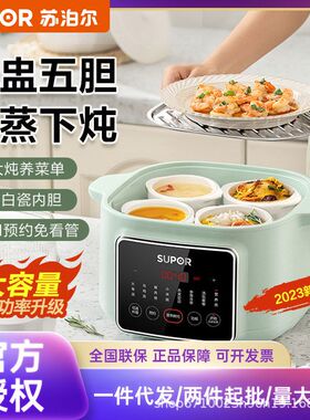 苏泊尔电炖锅电炖盅多功能煲汤炖汤隔水炖煮粥一锅五胆DZ45FC865