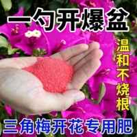 三角梅快速开花粉园艺盆栽通用型速效开花素月季茶花开花家用肥料