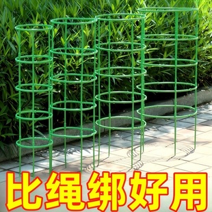 花架子室内家用支架通用型蟹爪兰花架莲花护叶架园艺盆栽支撑杆