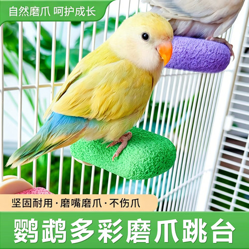 鹦鹉磨爪棒虎皮玄凤牡丹八哥鸟用