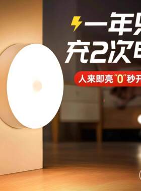 人体自动感应灯小夜灯卧室床头