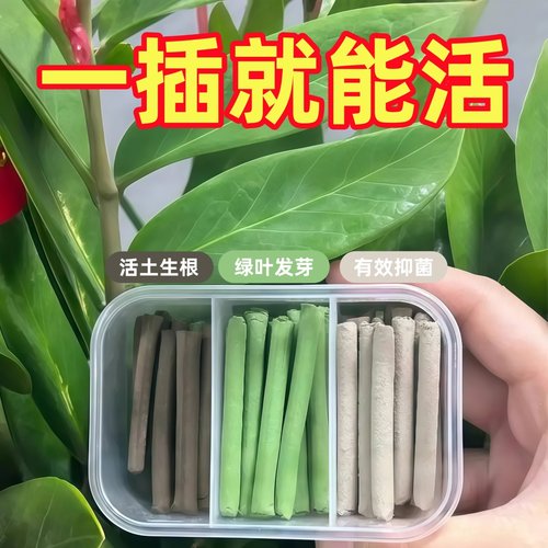 三色植物营养棒缓释营养棒生根