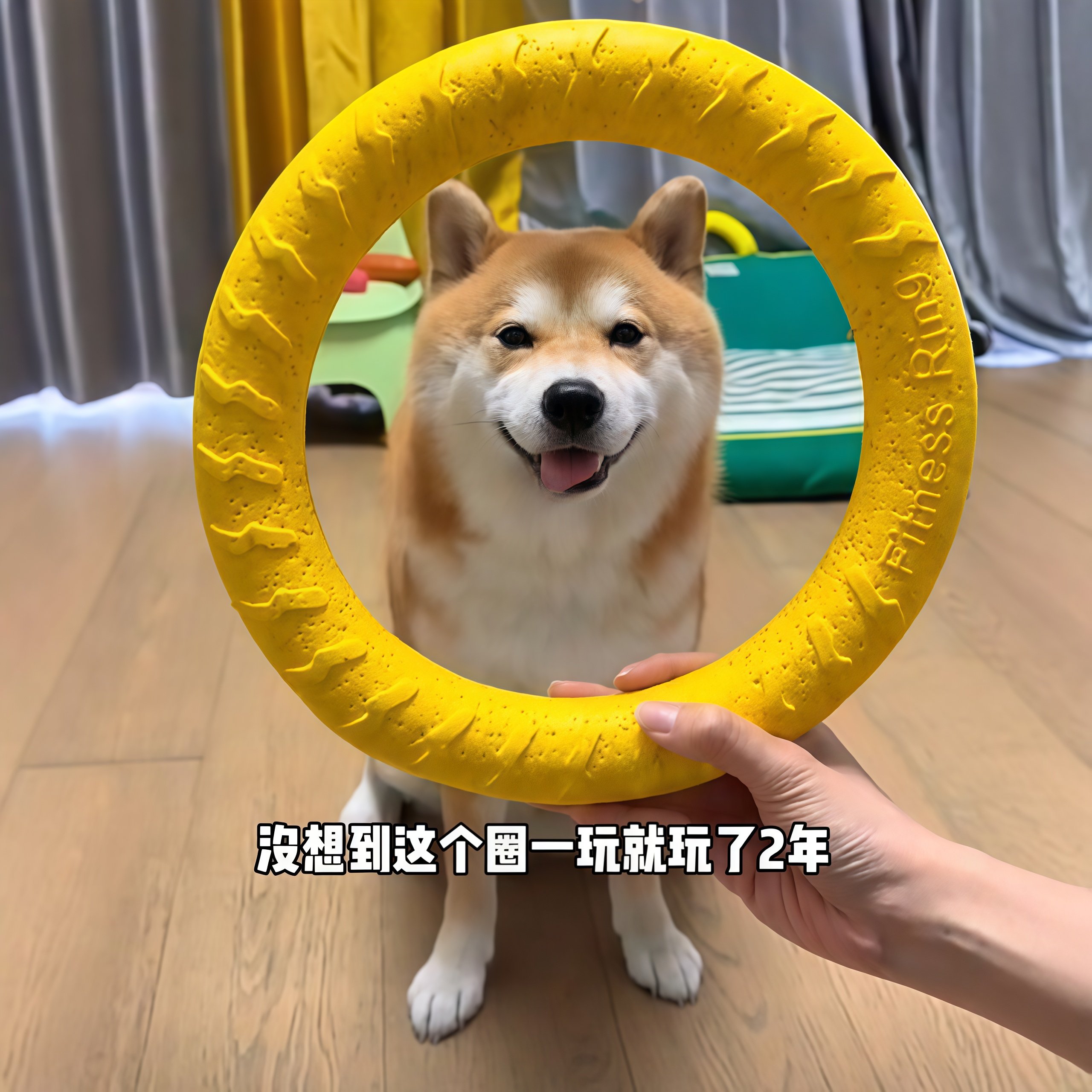 狗狗玩具磨牙耐咬飞盘圆环拉力球柴犬边牧柯基大型犬互动解闷训练