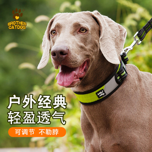 猫兄狗弟狗狗项圈宠物牵引绳脖圈