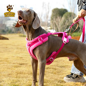 狗胸背带防爆冲背带狗狗牵引绳背心式 可爱外出遛狗绳冬季