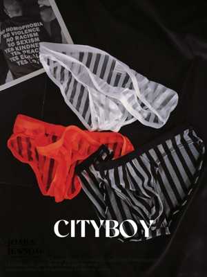 日系全透明内裤男低腰暴露三角裤夏薄款条纹速干性感紧身网纱裤衩