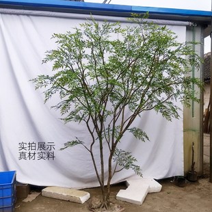 精选简约轻奢大型仿真南天竹绿植鸡爪槭假树室内S装饰橱窗植物盆