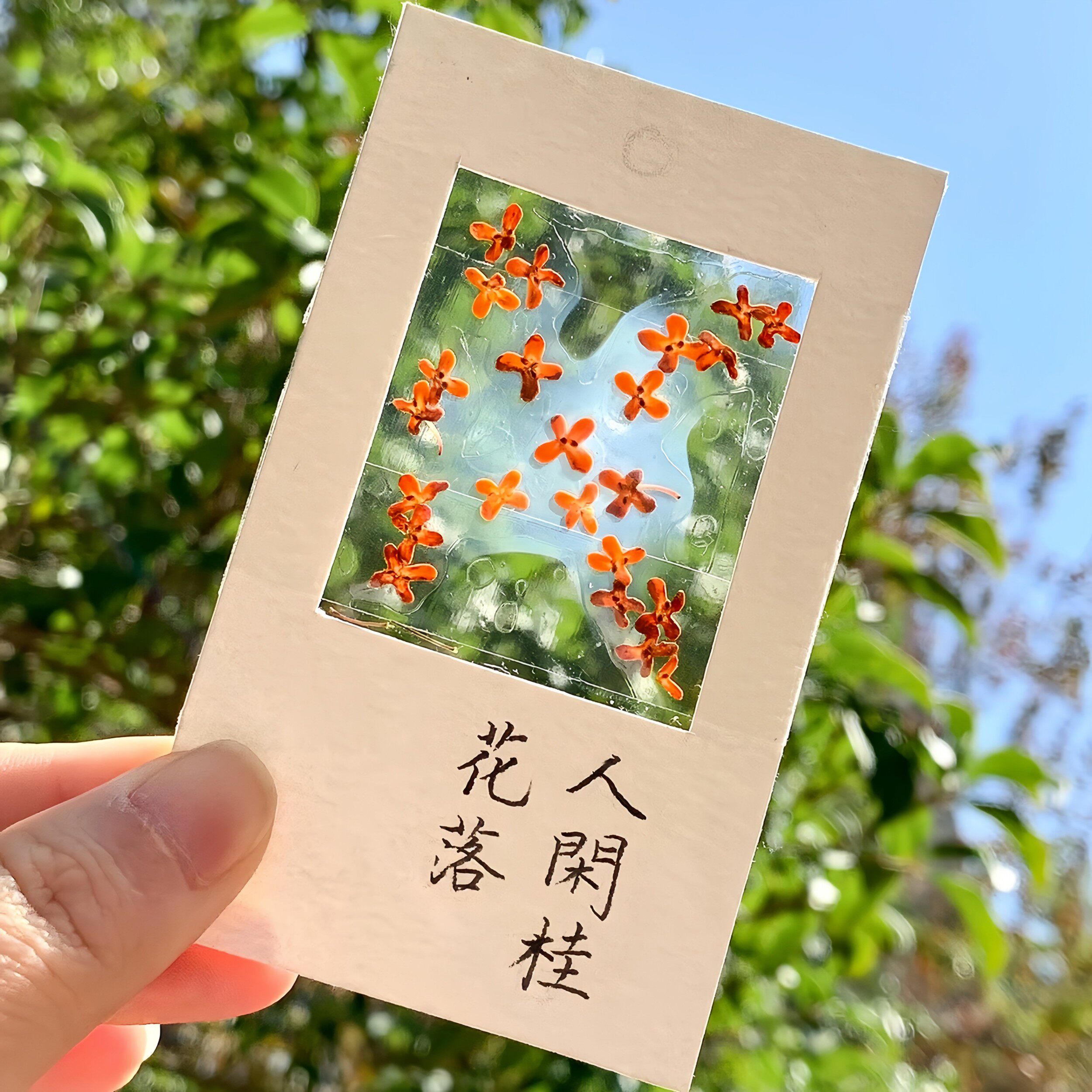收集秋天!桂花书签标本diy干花手工材料包透明植物树叶标本塑封