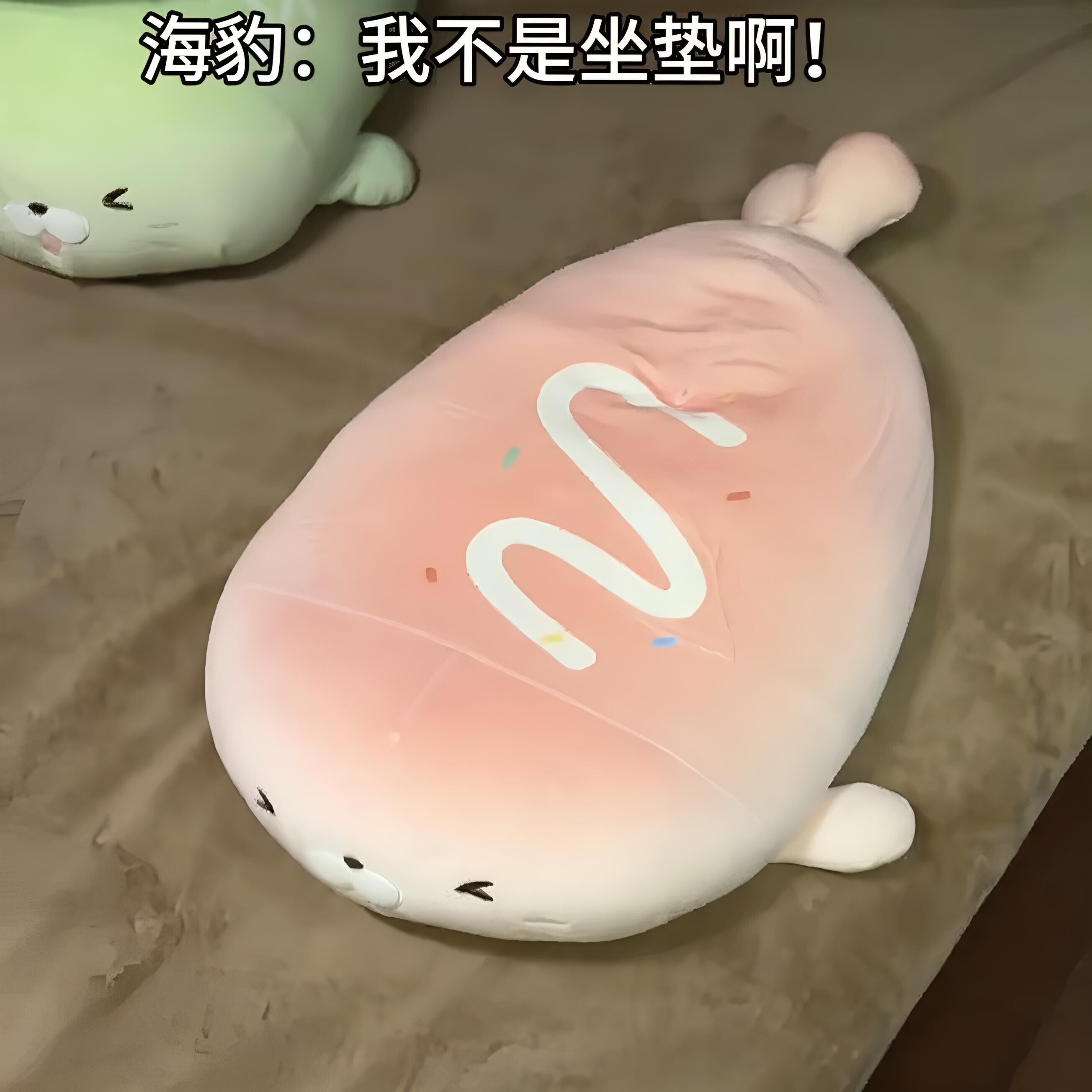 海豹玩偶坐垫软萌面包海狮超软毛绒公仔抱枕可回弹生日礼物送女生