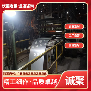 圆棒 钢锭 P22 连铸圆坯 12Cr2Mo1 合金钢 锻圆 圆钢 钢板