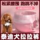 公狗尿不湿 神器纸尿裤 泰迪专用狗狗大姨妈拉拉裤 母狗月经期生理裤
