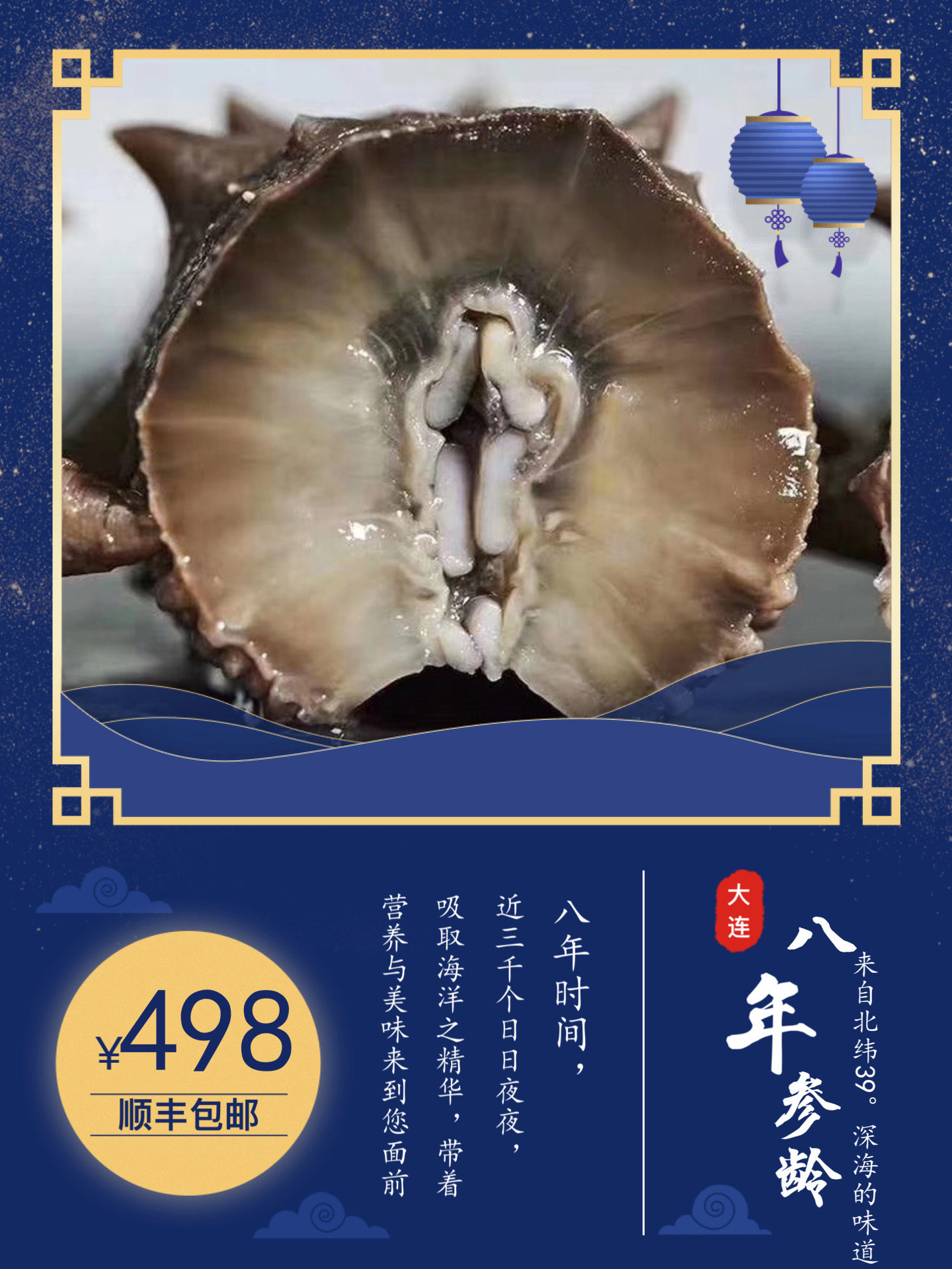 鲜活即食500g真空野生海参特价
