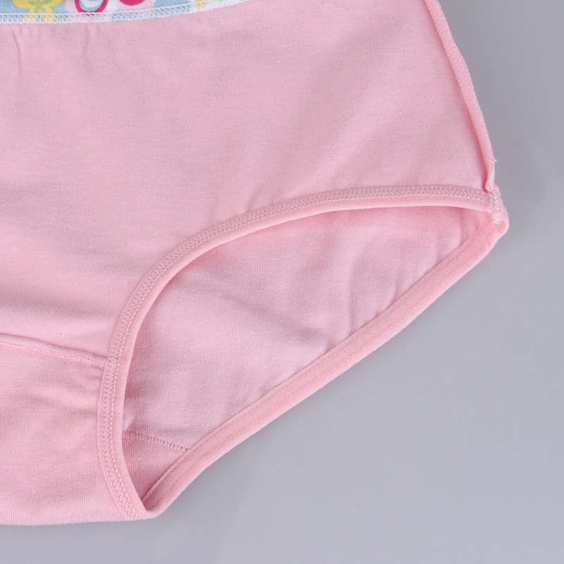 Slip jeunesse ADZL0066 en coton - Ref 665974 Image 5