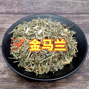 金马兰四川正品金马兰草