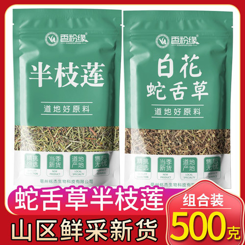 白花蛇舌草和半枝莲功效新鲜茶半枝莲非野生白花非中药材非中草药