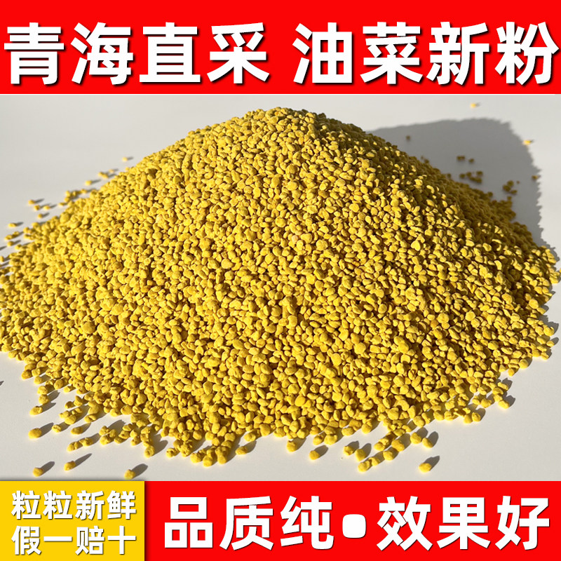 2025新鲜青海油菜花粉纯正天然正品食用未破壁蜜蜂花粉前列腺500g
