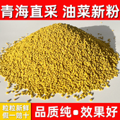 2025新鲜青海油菜花粉纯正天然正品 食用未破壁蜜蜂花粉前列腺500g