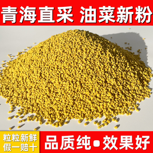 2025新鲜青海油菜花粉纯正天然正品 食用未破壁蜜蜂花粉前列腺500g
