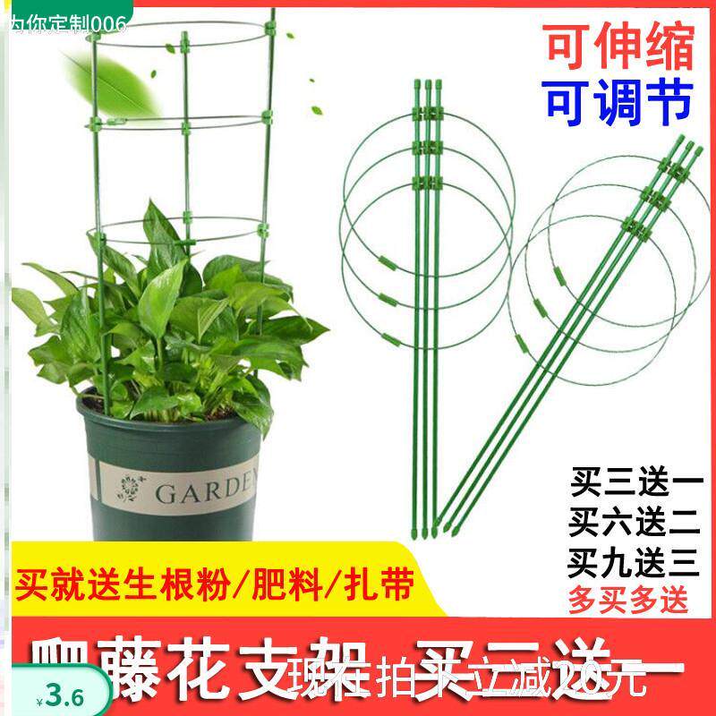 园艺铁环花支柱多少钱 园艺铁环花支柱优惠券免费领取 有条鱼