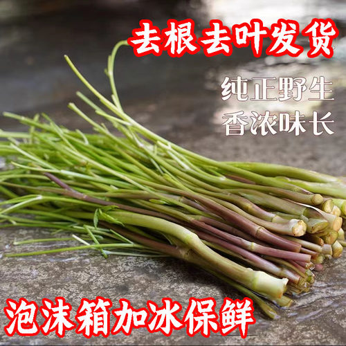 去叶野生水芹菜现拔小叶健康农家应季山野菜新鲜蔬菜湖南特产包邮