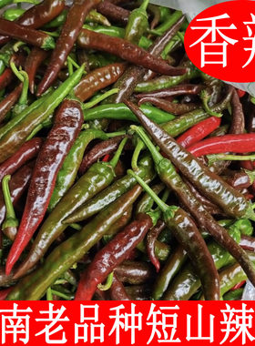 湖南本地老品种特香辣辣椒
