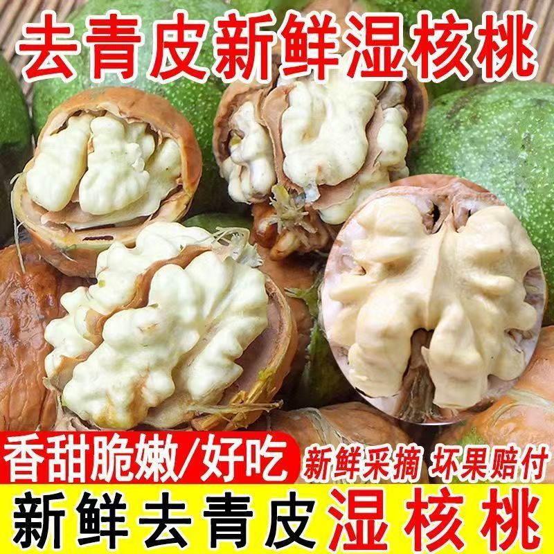 2026年新鲜湿核桃黑桃去带青皮绿皮老树薄皮核桃孕妇嫩生核桃5斤