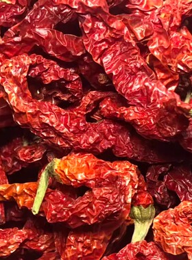 预收2024年手采新辣椒安集海线辣子新疆大盘鸡辣椒红辣椒2斤包邮