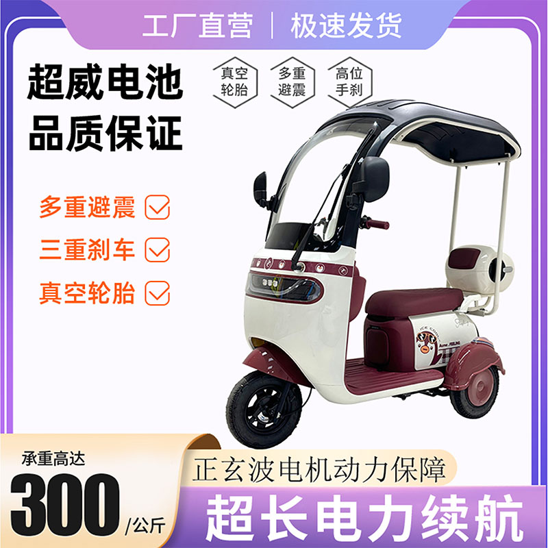 新款带棚电动三轮车一体棚车家用车接送孩子同款休闲电三轮车