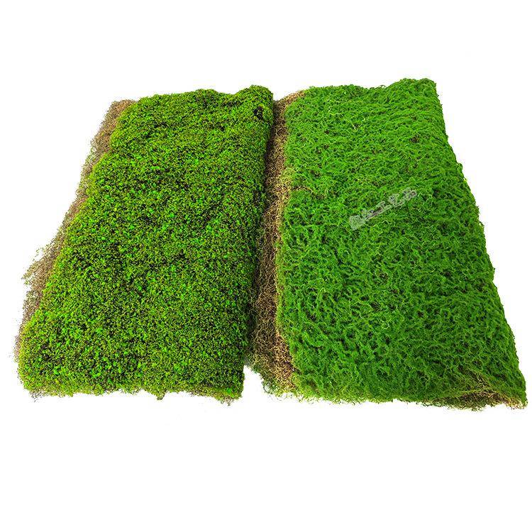 仿真青苔植绒草皮苔藓假草坪植物墙背景墙地面景观铺设装饰造景
