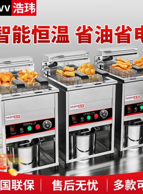 浩玮电热大容量立式油炸锅炸鸡排机器双缸恒温油条机