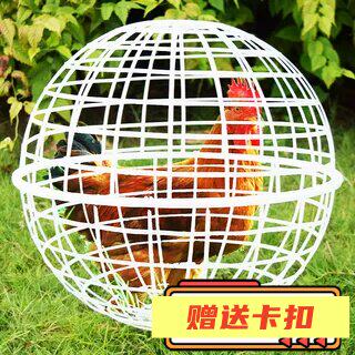网红走地鸡笼子塑料球形鸡笼圆形兔笼可滚动景区走动觅食遛鸡鸡笼